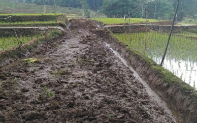 Membangun Jalan Usaha Tani di Desa Pengadegan: Meningkatkan Kesejahteraan dan Aksesibilitas Pertanian